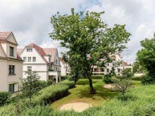 Blick in den Garten Traumhafte Maisonette-Altbauwohnung mit Balkon und Keller in Dahlem